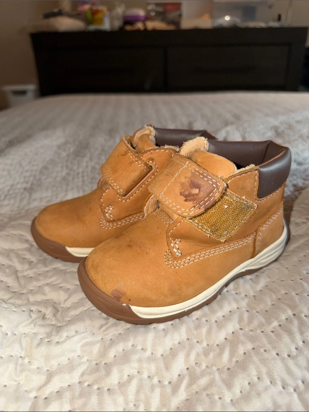 Timberland Tykes Toddler Boy Boots
